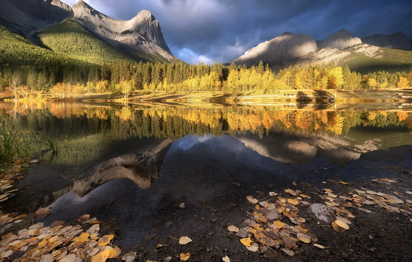 Photo wallpaper autumn, Canmore, Ha Ling Peak
