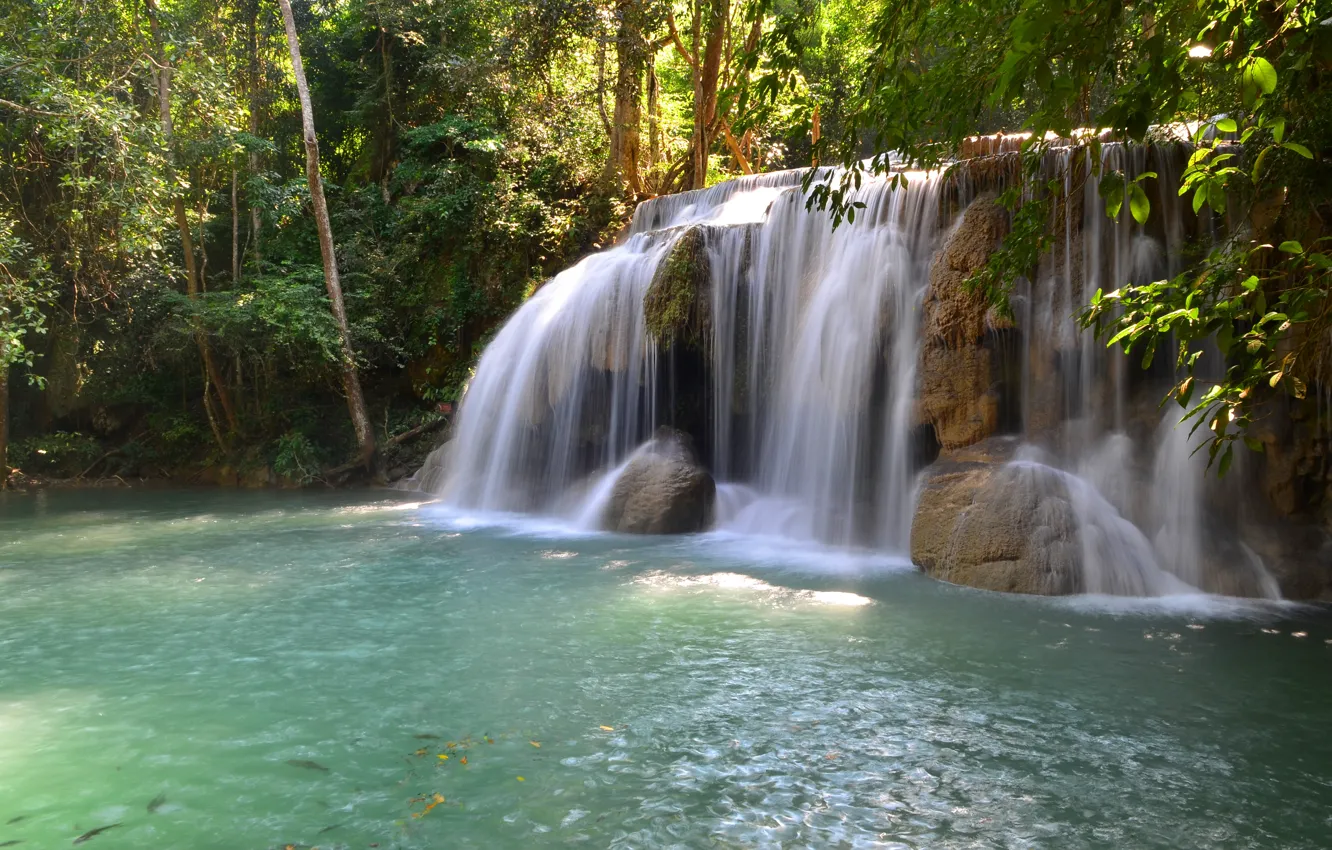 Photo wallpaper forest, landscape, river, rocks, waterfall, summer, forest, tropical