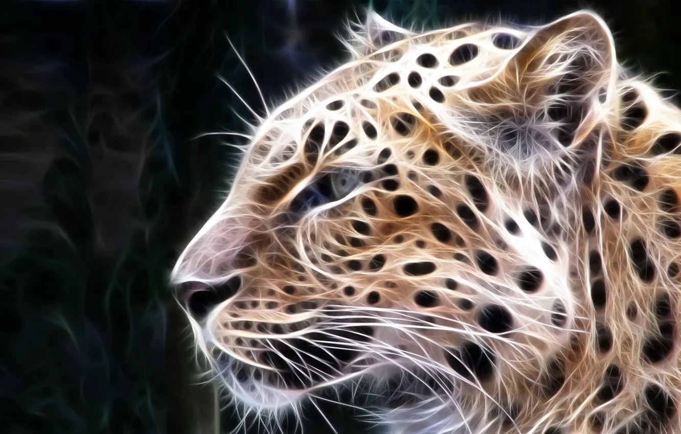 Photo wallpaper cats, treatment, predator, leopard