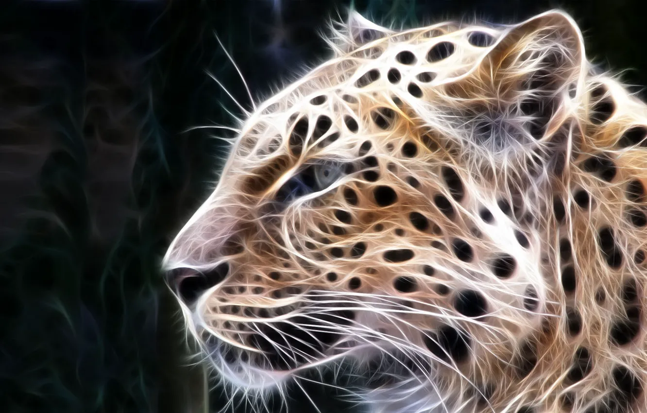 Photo wallpaper cat, treatment, predator, leopard