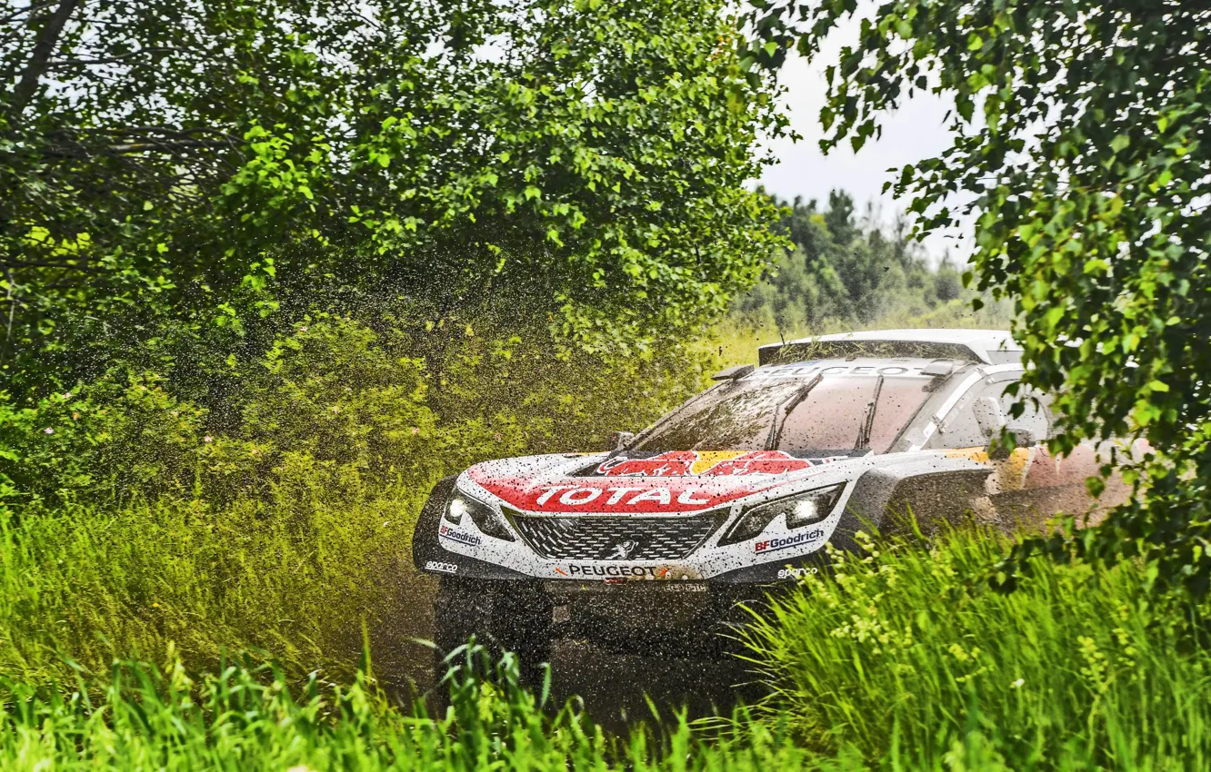 Photo wallpaper Water, Nature, Trees, Sport, Speed, Dirt, Peugeot, Squirt