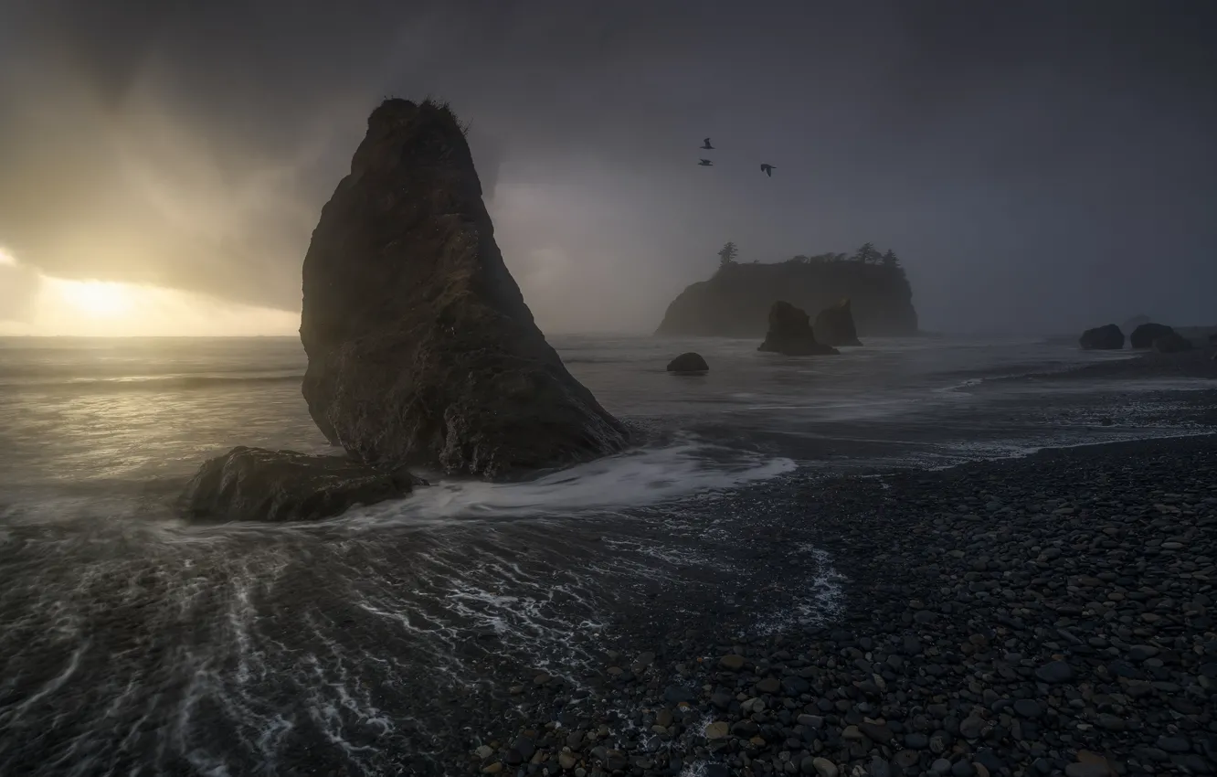 Photo wallpaper beach, clouds, stones, the ocean, rocks, bird