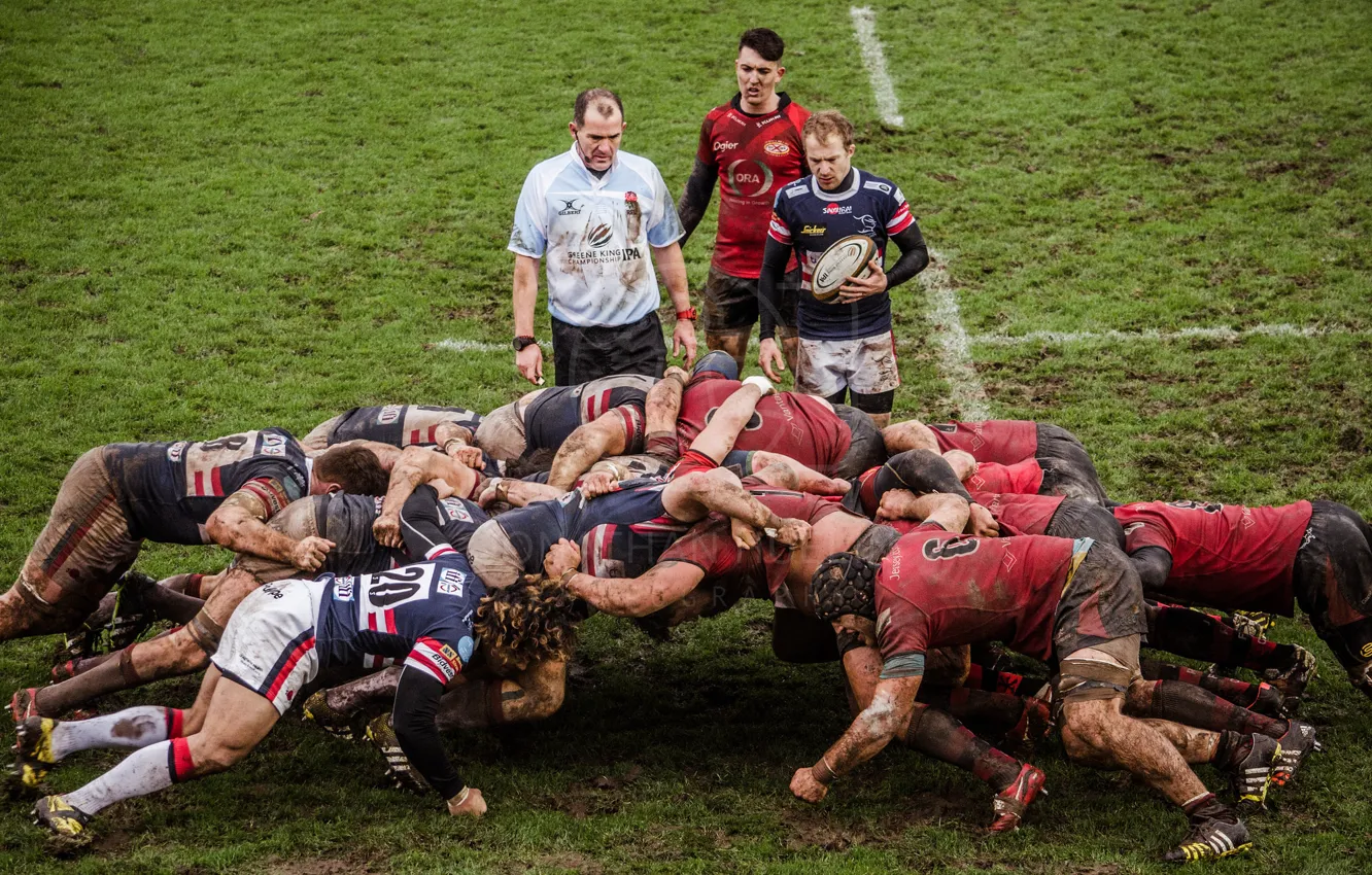 Photo wallpaper sport, the game, Rugby