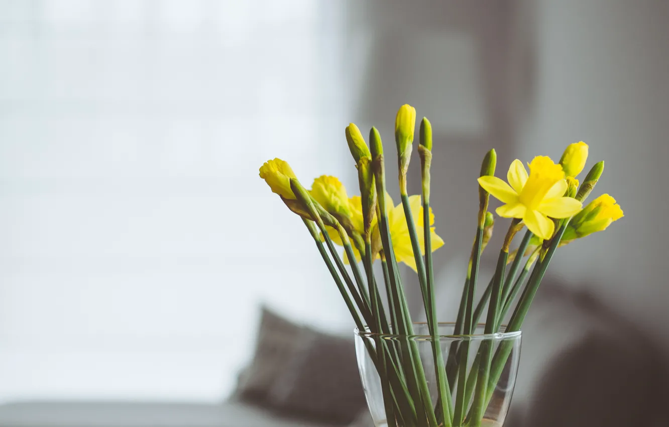 Photo wallpaper flowers, yellow, vase, daffodils