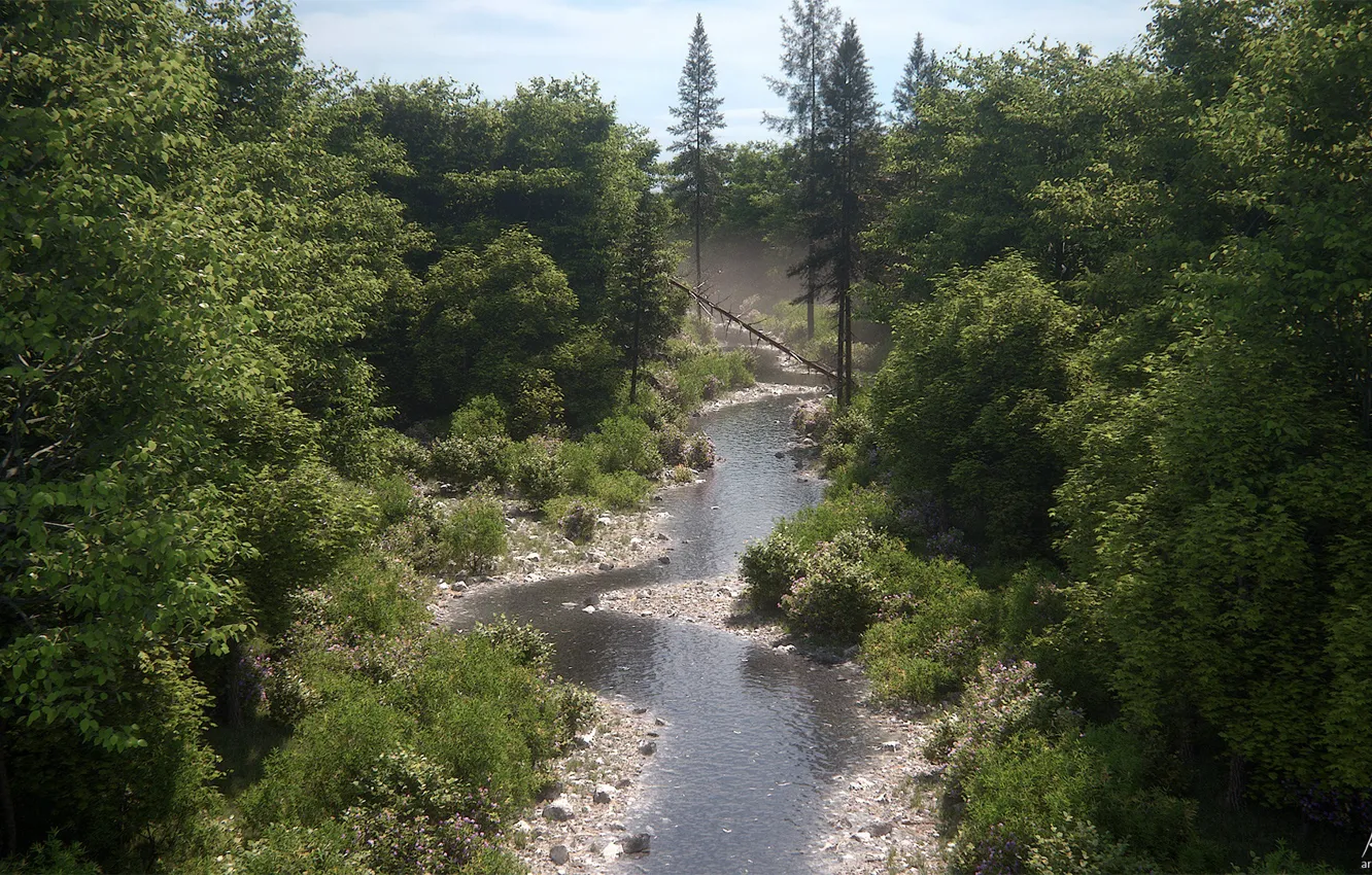 Photo wallpaper forest, trees, stream, stones, Woodcreek