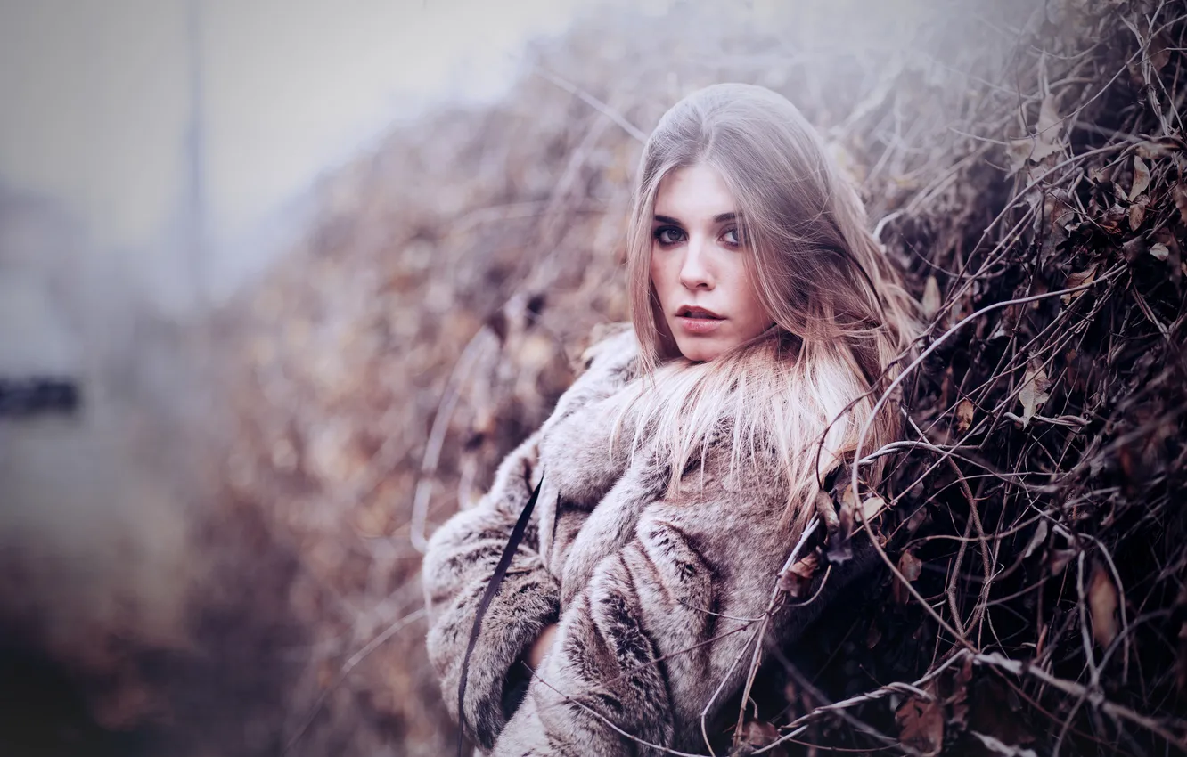 Photo wallpaper look, girl, pose