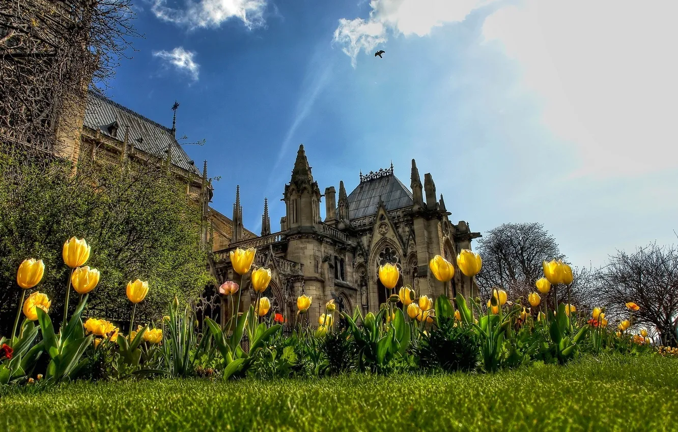 Photo wallpaper the sky, clouds, flowers, castle, tower, tulips