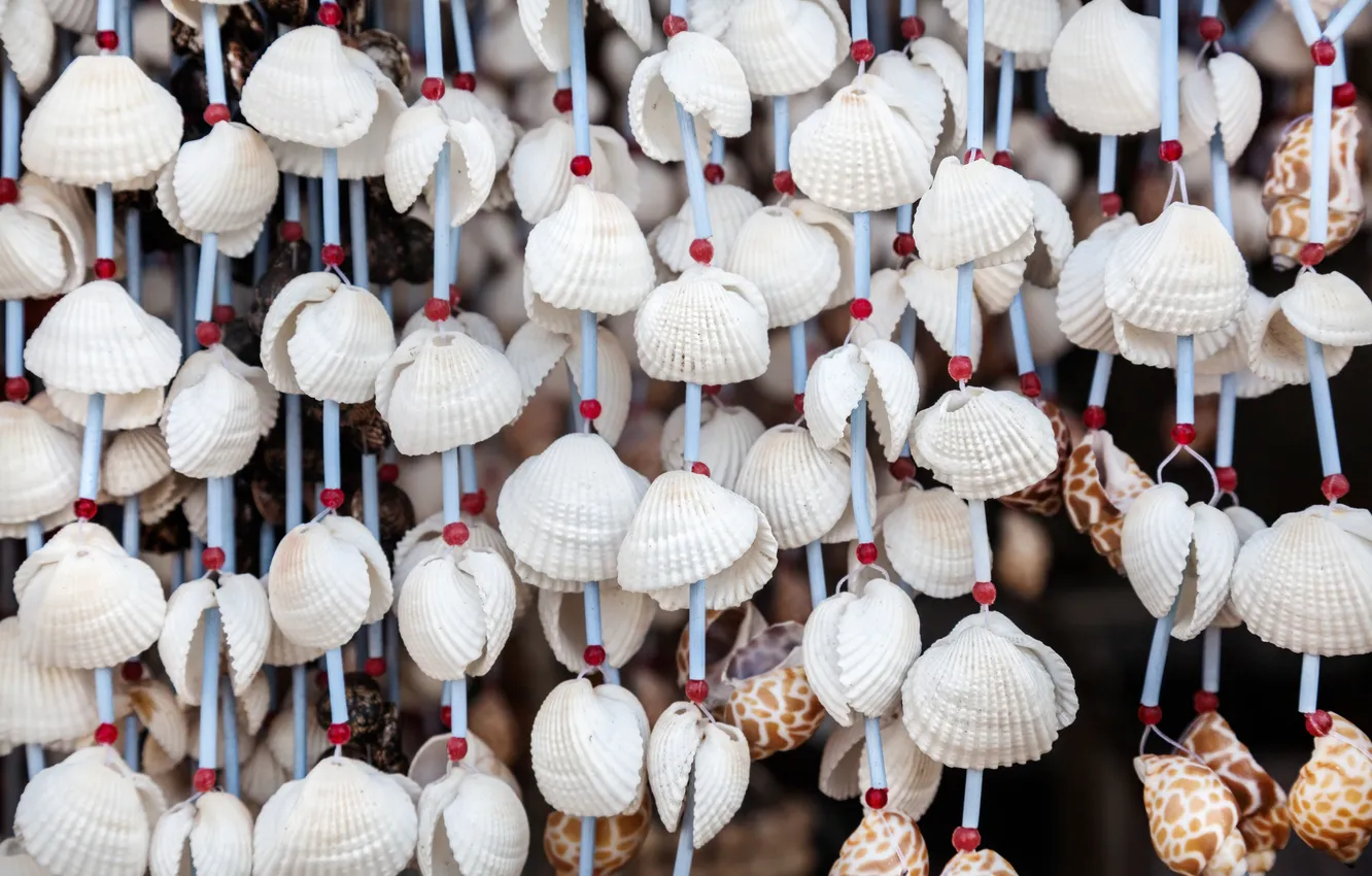 Photo wallpaper macro, shell, beads