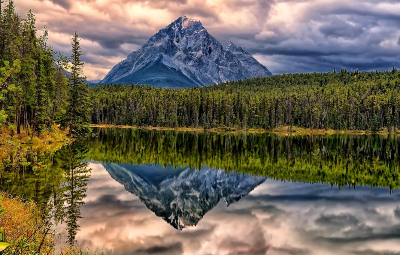 Photo wallpaper forest, clouds, landscape, sunset, mountains, lake, reflection, rocks