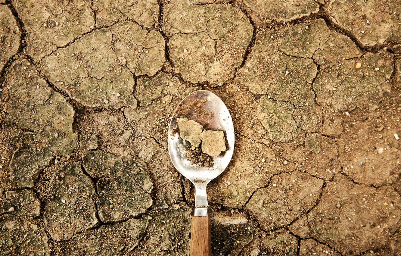 Photo wallpaper food, agriculture, climate change