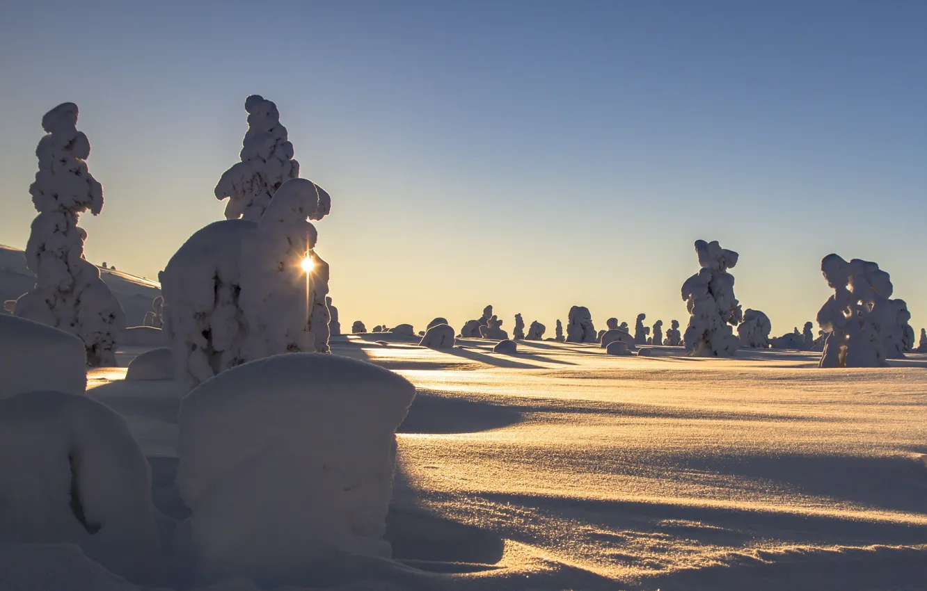 Photo wallpaper winter, the sun, rays, snow, trees, landscape, nature, ate