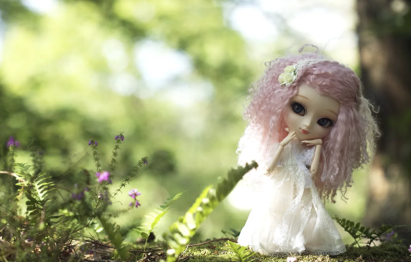Photo wallpaper nature, toy, doll, dress, pink hair