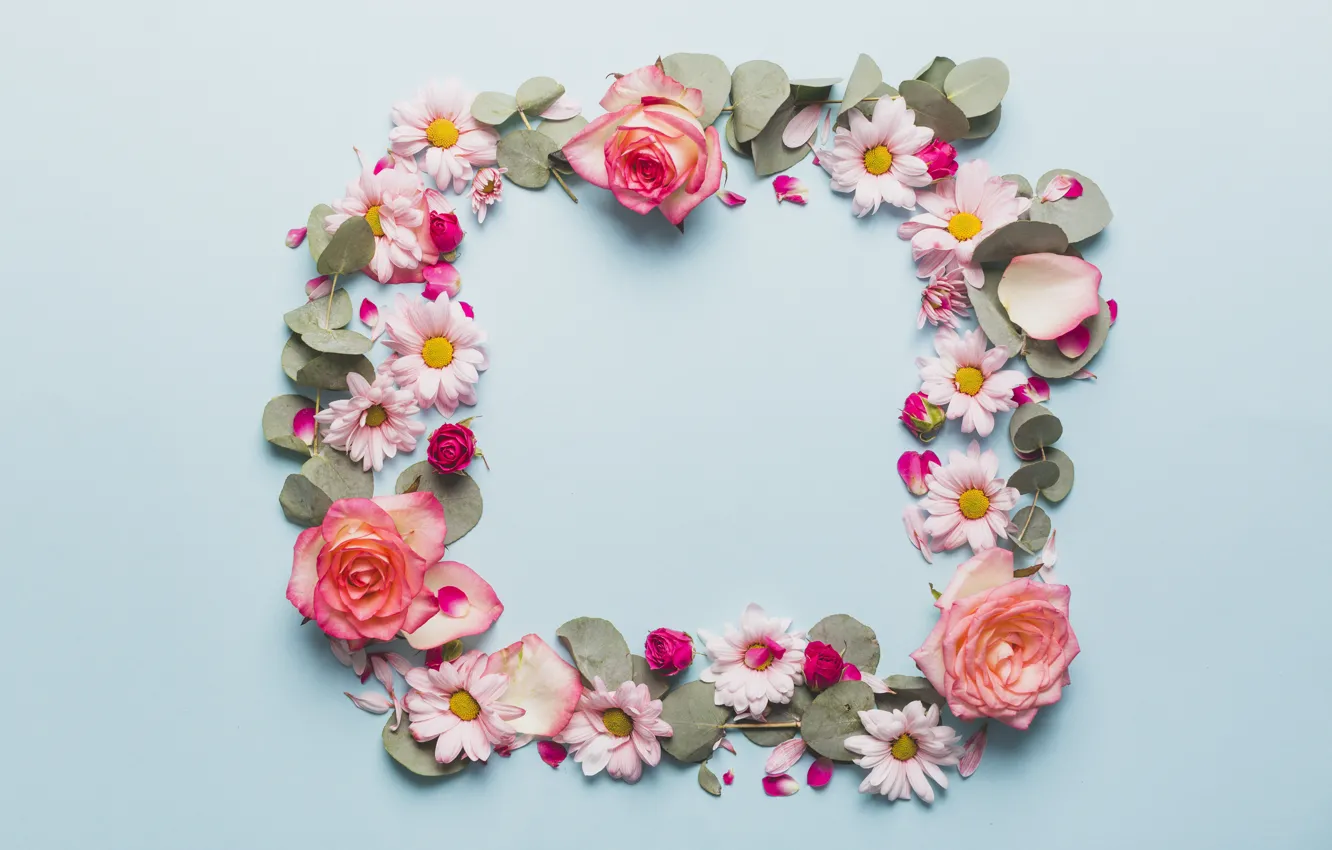 Photo wallpaper flowers, background, roses, chrysanthemum