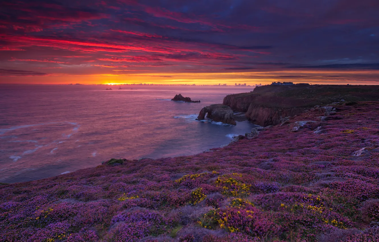 Photo wallpaper sea, beach, summer, the sky, the sun, clouds, sunset, flowers