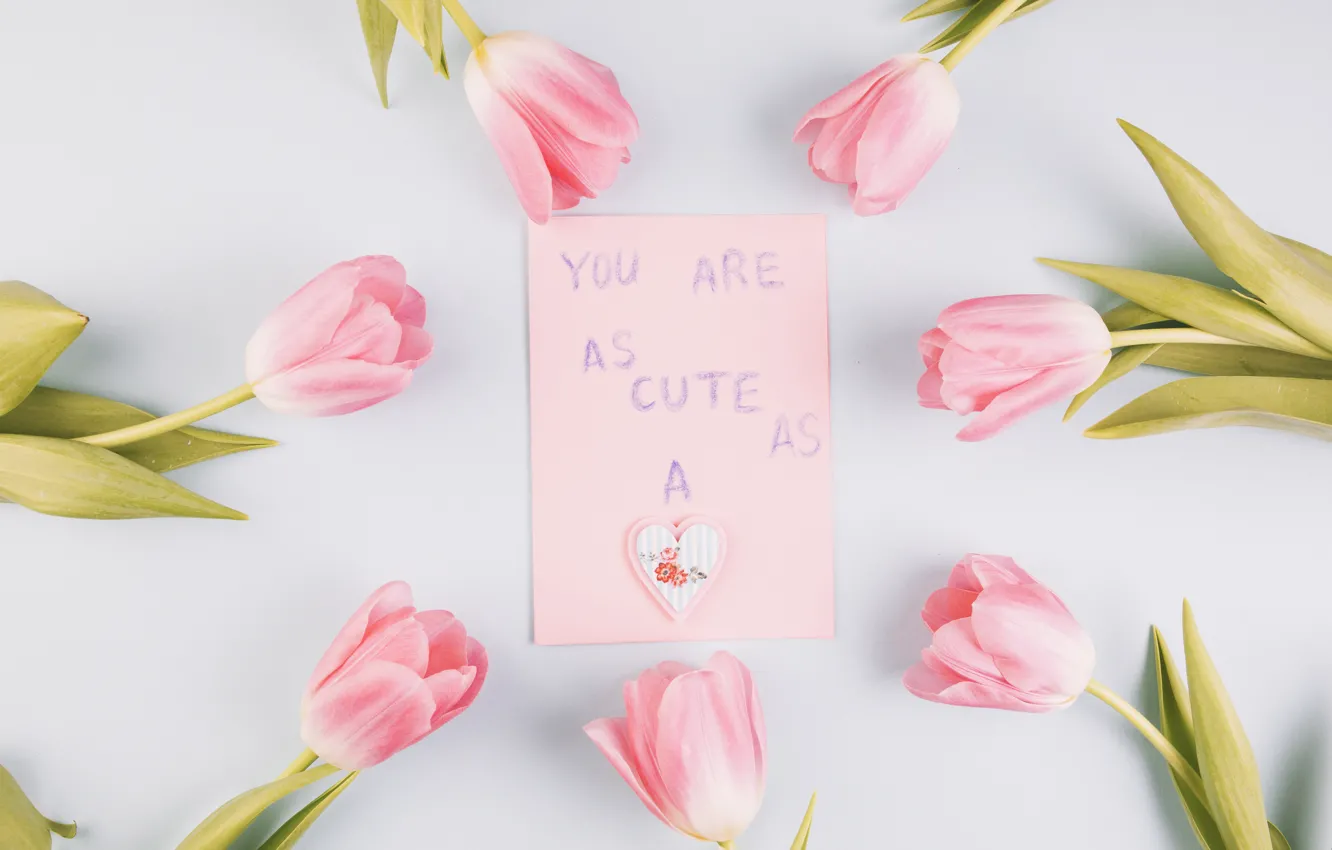 Photo wallpaper flowers, background, hearts, tulips, pink, postcard