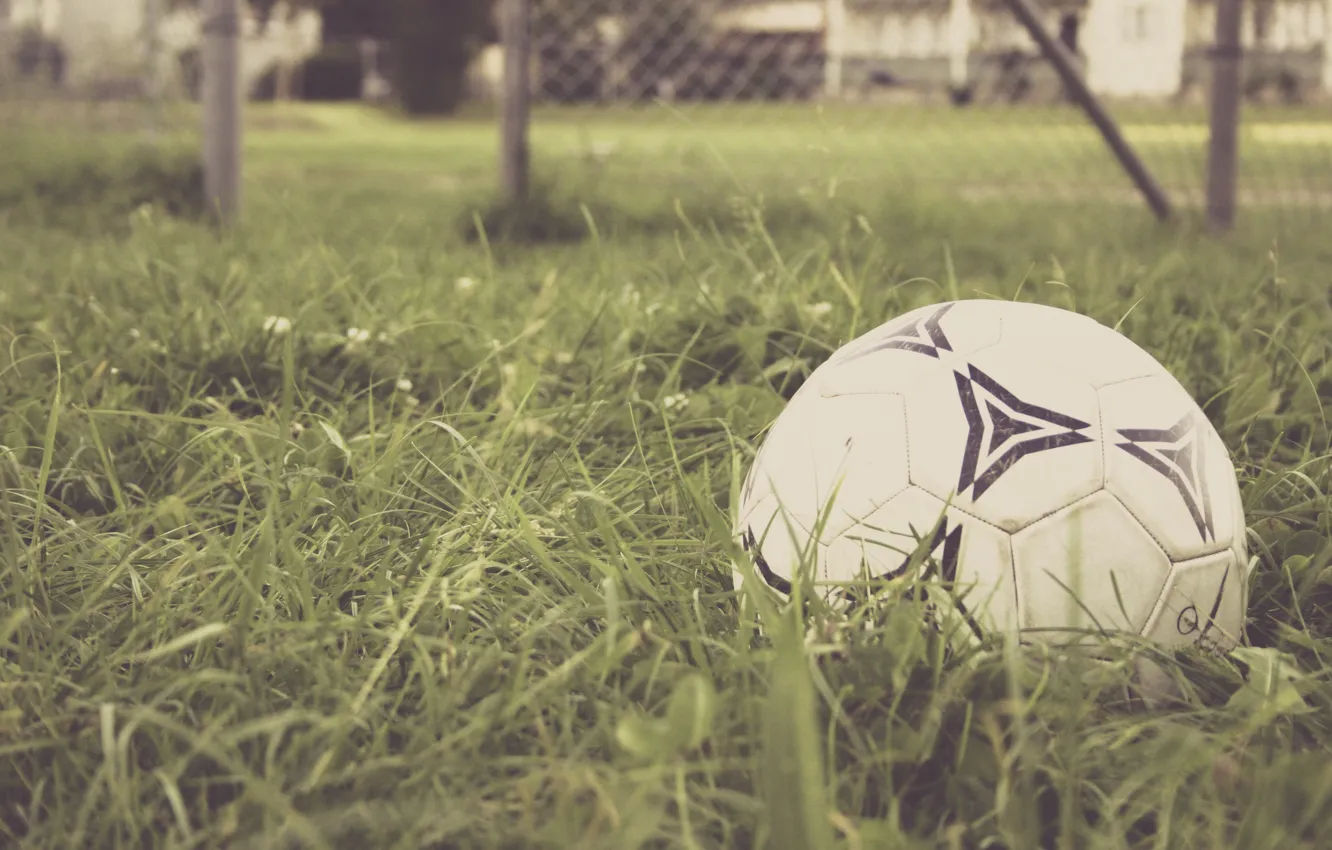 Photo wallpaper grass, football, the game, the ball