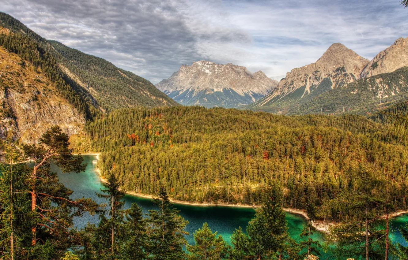 Photo wallpaper forest, trees, mountains, lake, panorama
