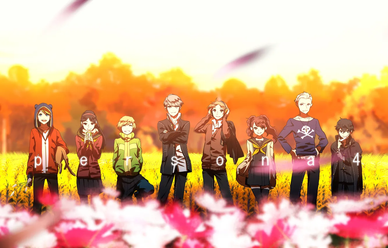 Photo wallpaper form, students, amagi yuki located in, kuma, shirogane naoto, to shirakawa rise, hanamura yousuke, persona …