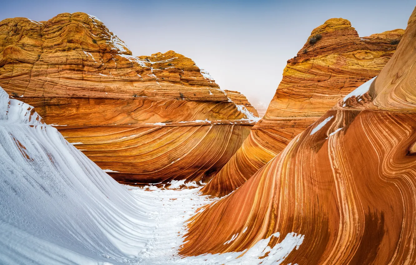 Photo wallpaper Arizona, wave, Coyote Buttes North