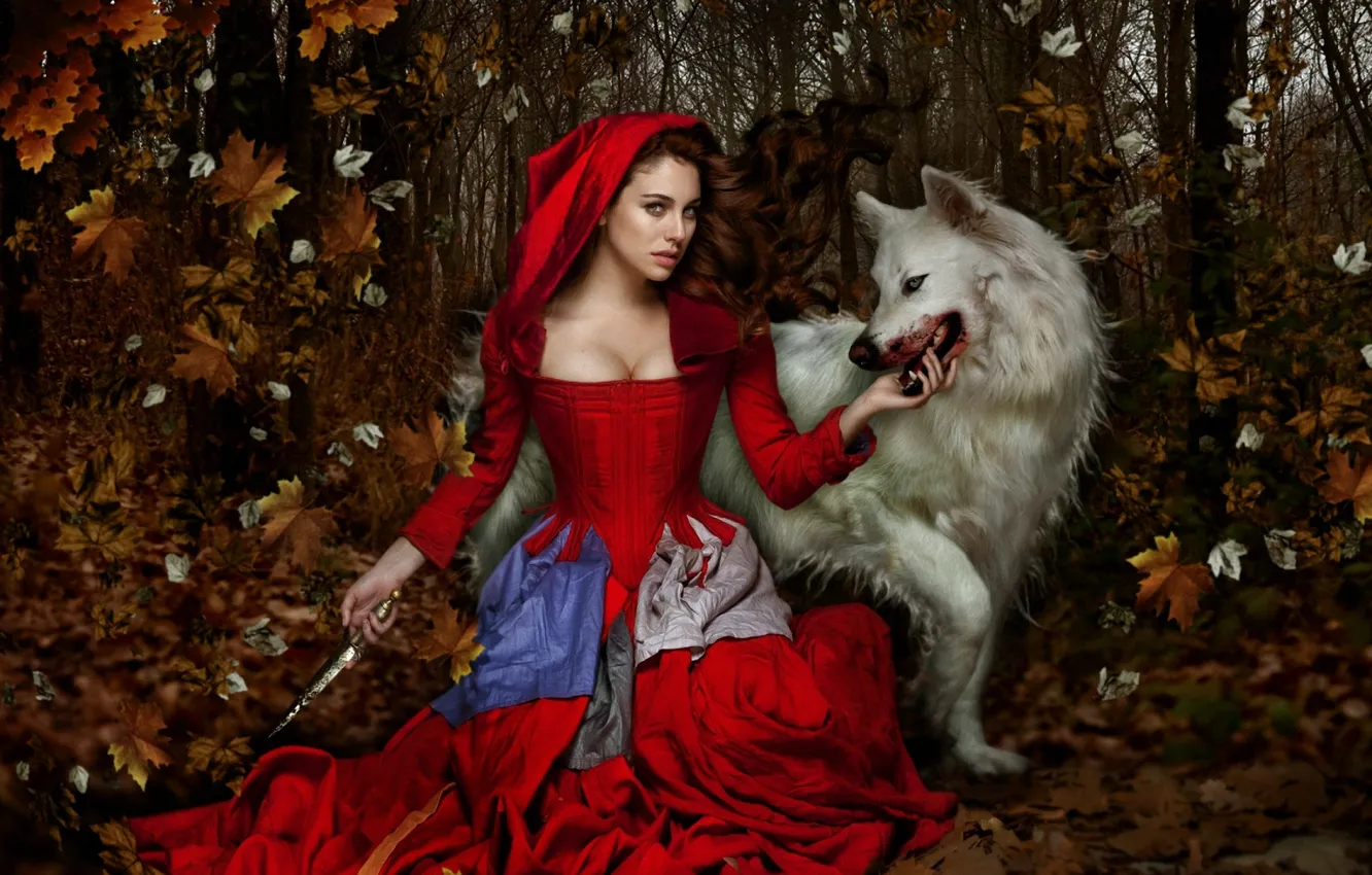 Photo wallpaper tale, little red riding hood, blood, fantasy, forest, smile, wolf, look