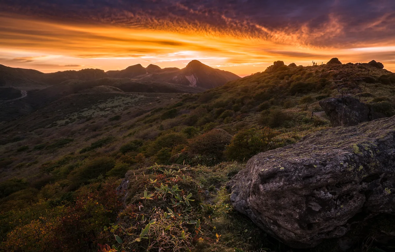 Photo wallpaper summer, the sky, grass, clouds, light, sunset, mountains, nature