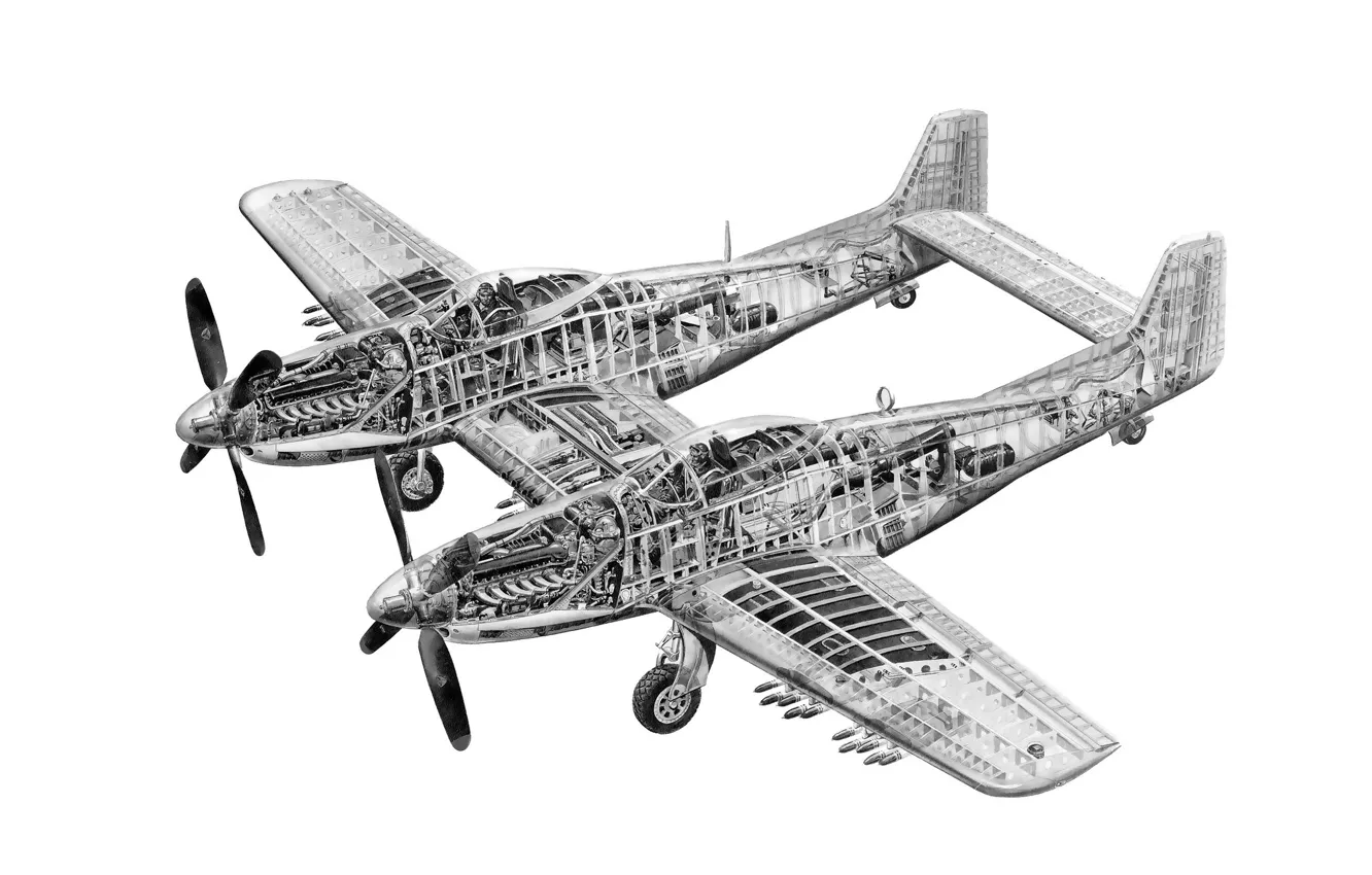 Photo wallpaper design, scheme, fighter, North American, double, far, F-82, "Twin Mustang"