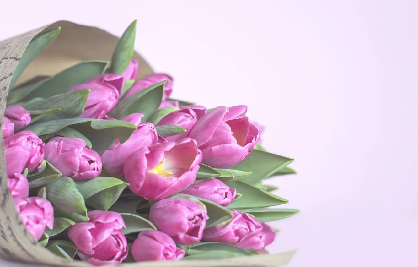 Photo wallpaper background, pink, bouquet, tulips