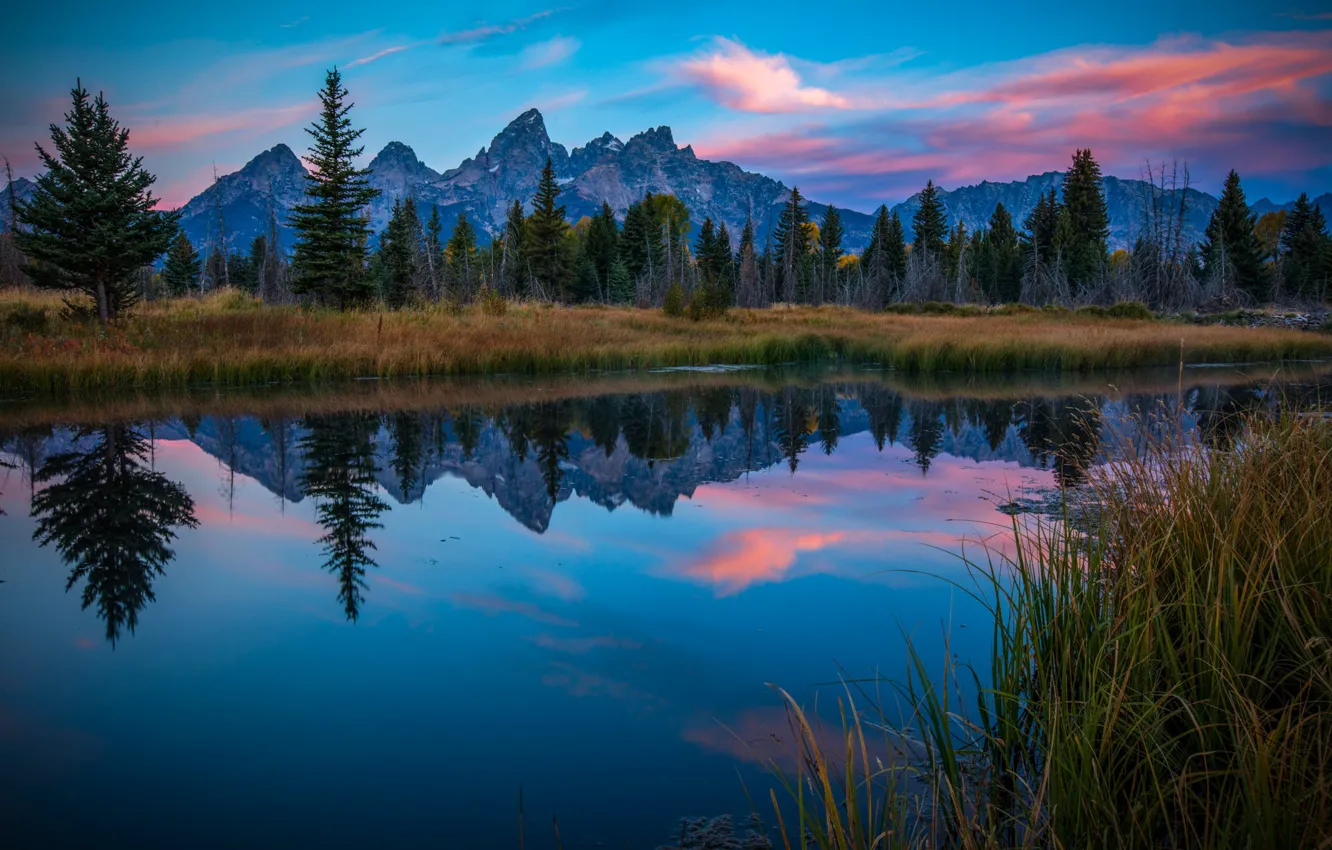 Photo wallpaper grass, trees, landscape, mountains, nature, lake, reflection, dawn