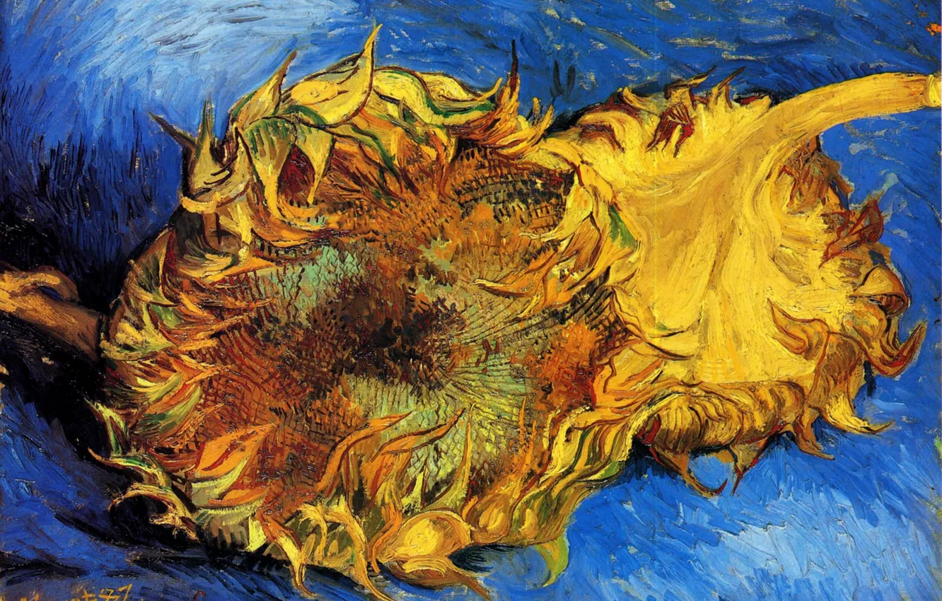 Photo wallpaper sunflower, Vincent van Gogh, vincent87, Two Cut Sunflowers 3