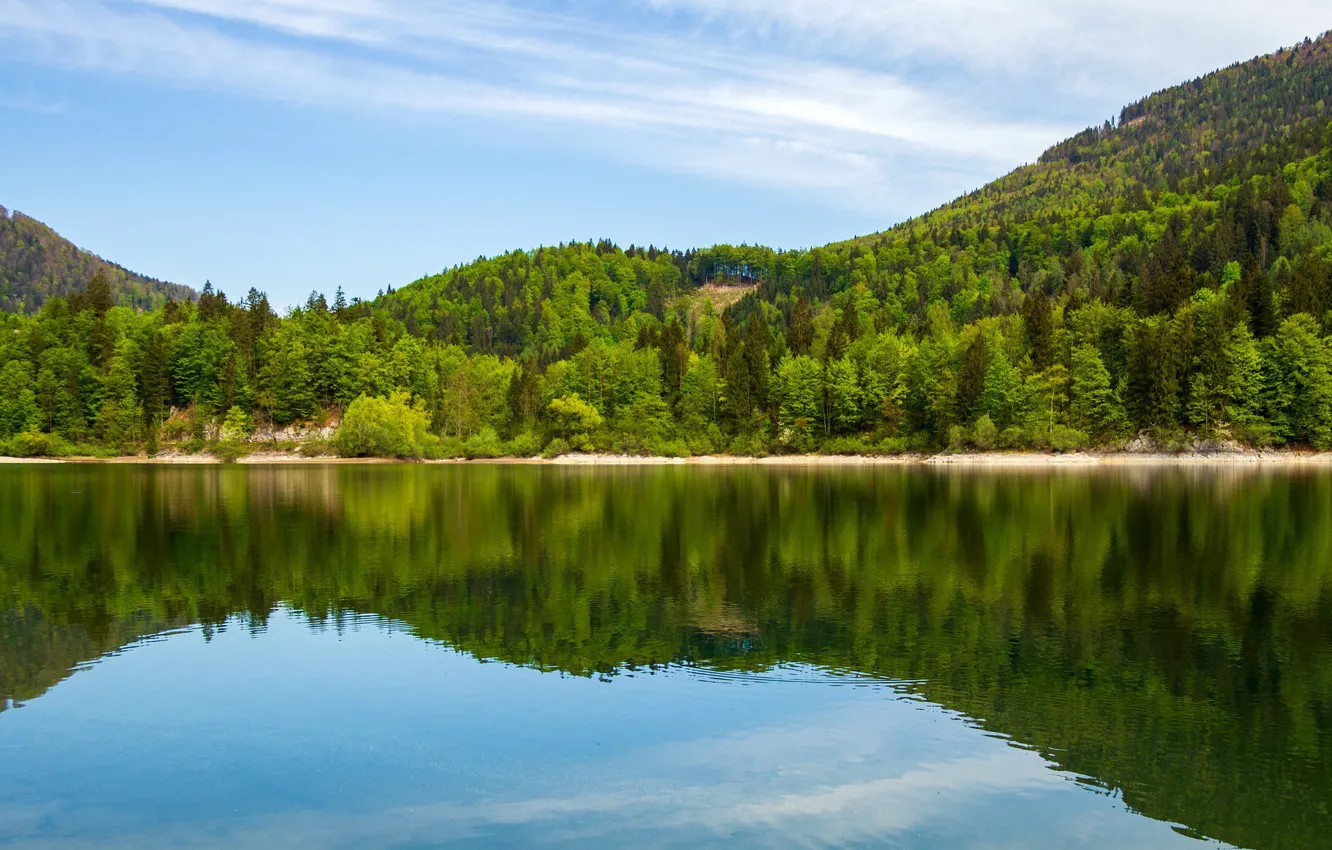 Photo wallpaper forest, water, trees, mountains, nature, lake