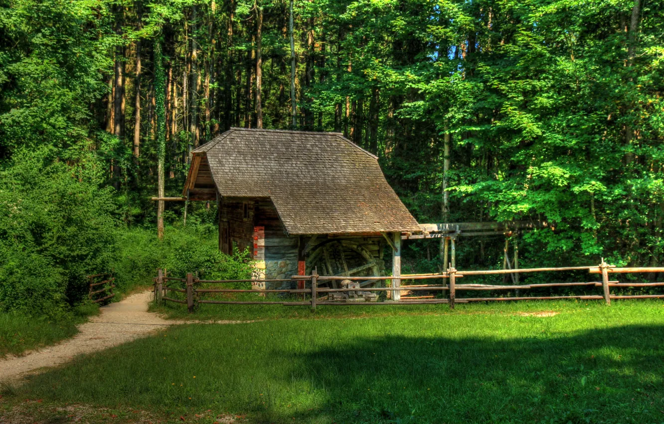 Photo wallpaper forest, grass, trees, glade, the fence, construction, Austria, path