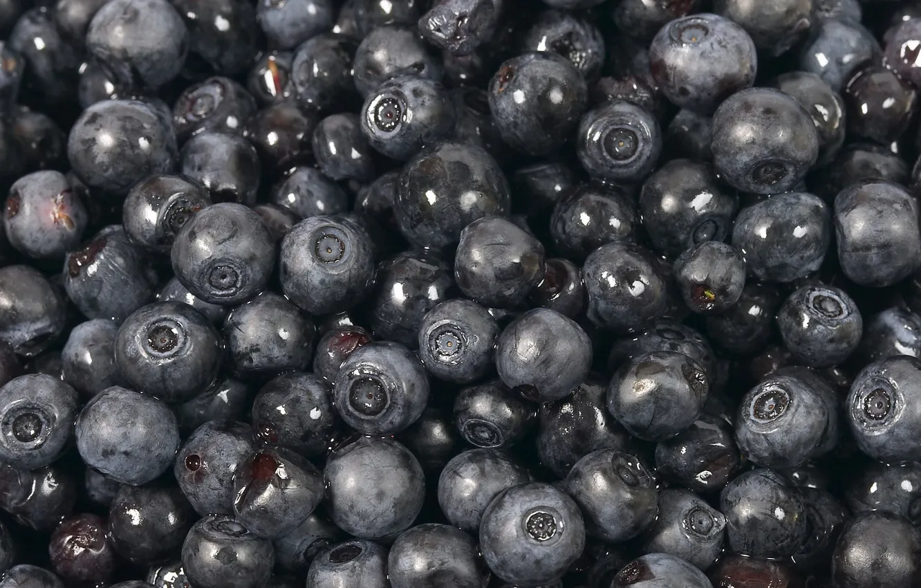 Photo wallpaper macro, berries, blueberries