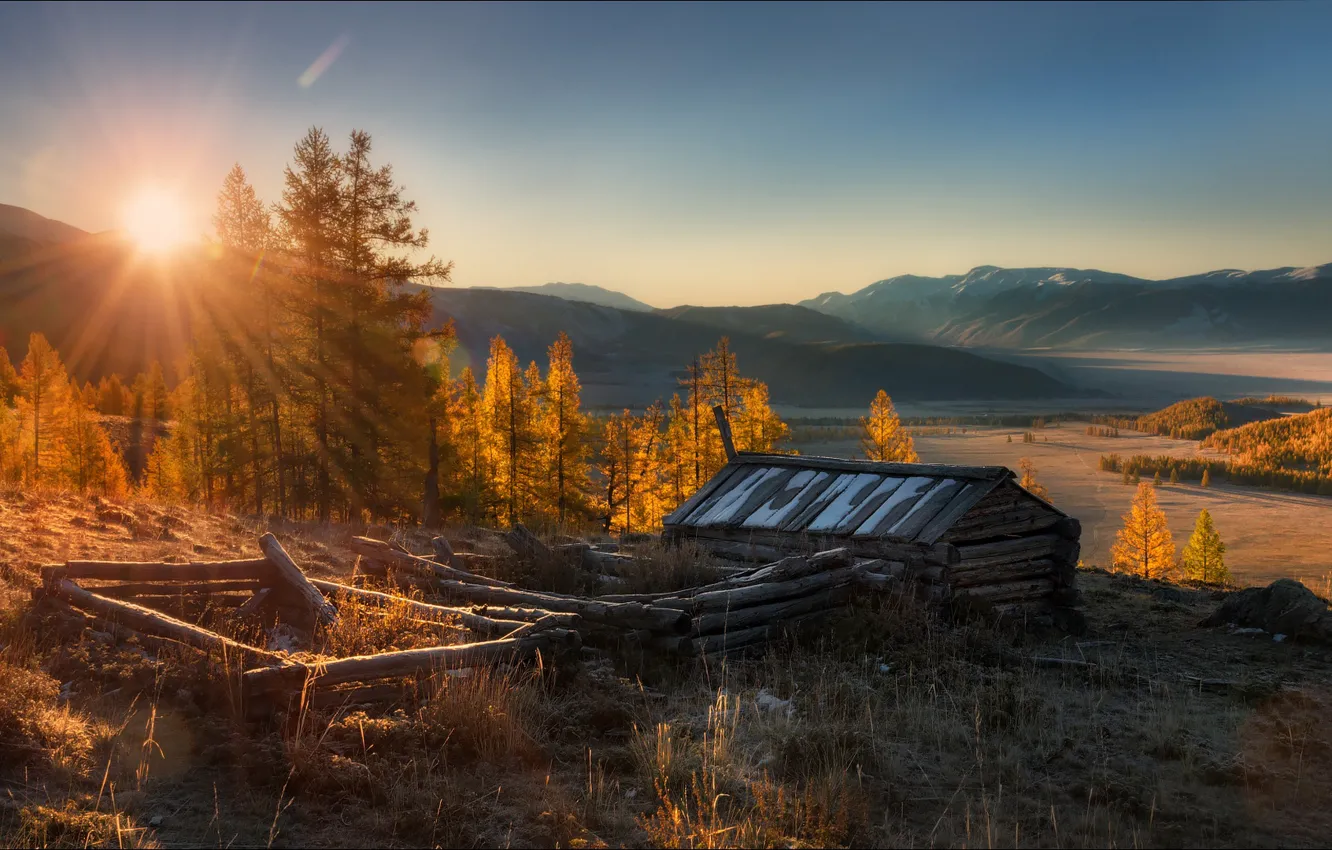 Photo wallpaper field, forest, the sun, rays, light, mountains, morning, haze