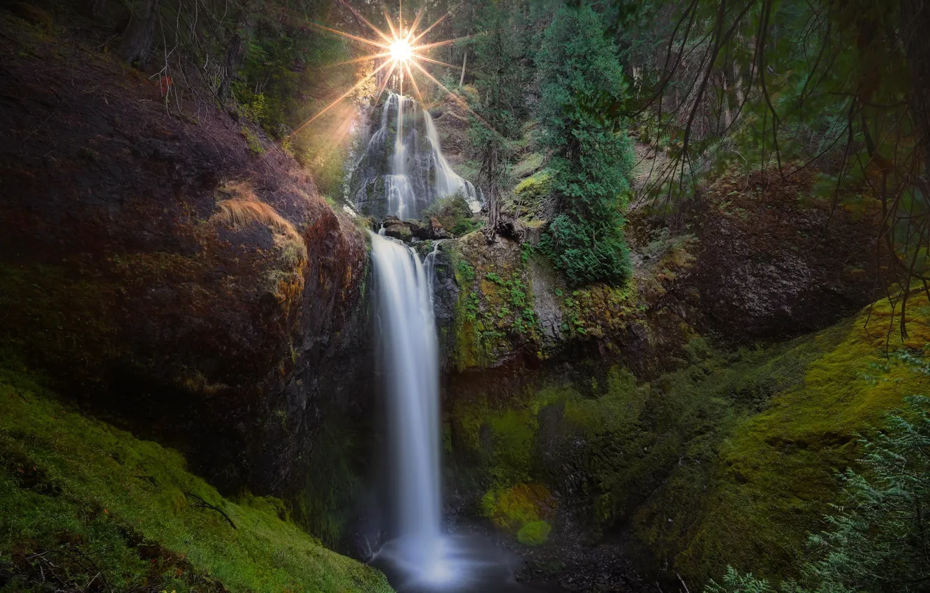 Photo wallpaper forest, the sun, nature, waterfall, USA, Washington, Falls Creek Falls, Falls Creek