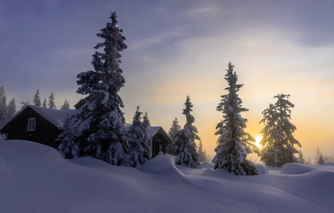 Photo wallpaper winter, the sky, snow, nature, house, dawn, tree, morning