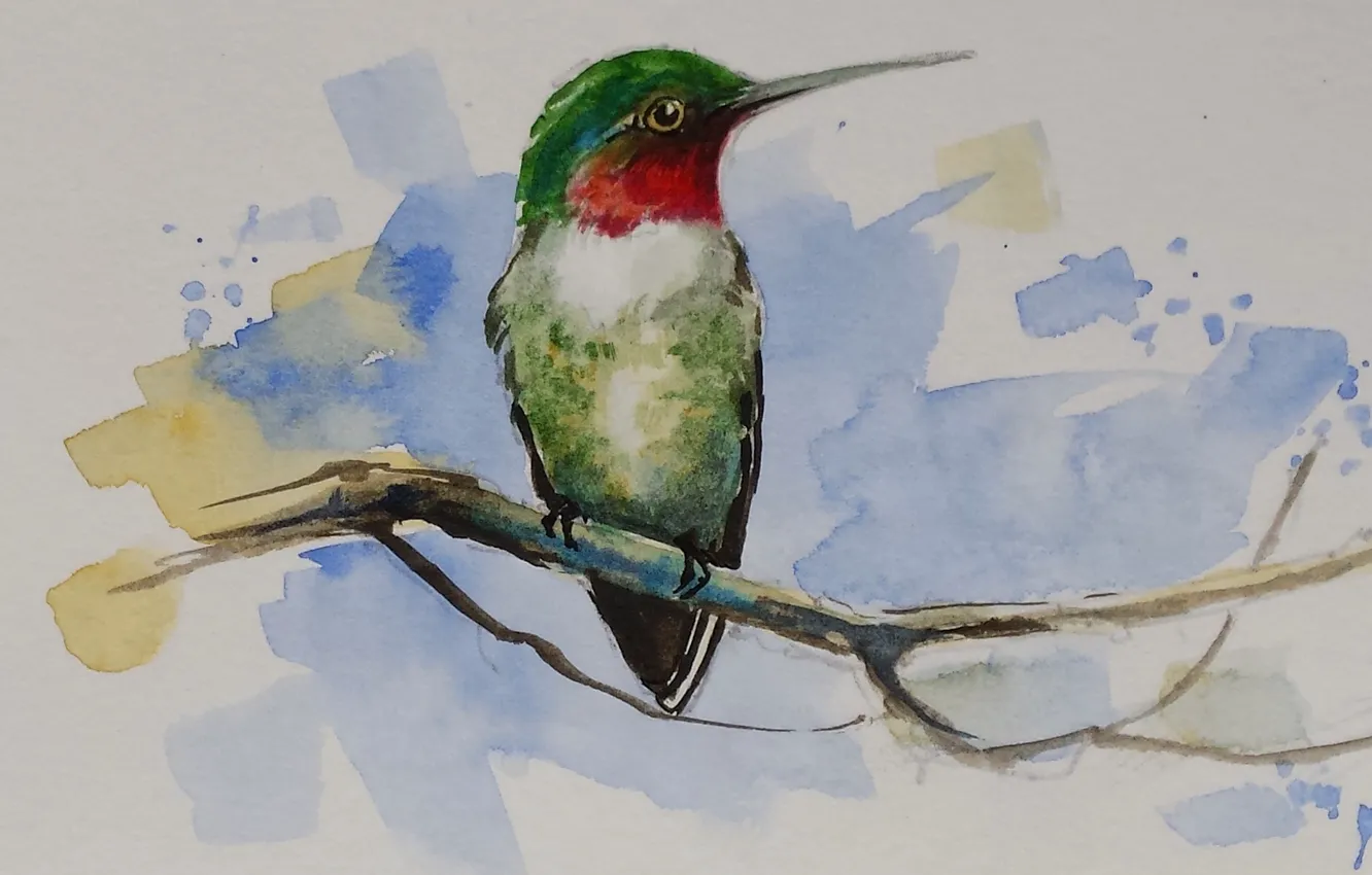 Photo wallpaper animal, bird, beak, watercolor, common archilochus, common Hummingbird