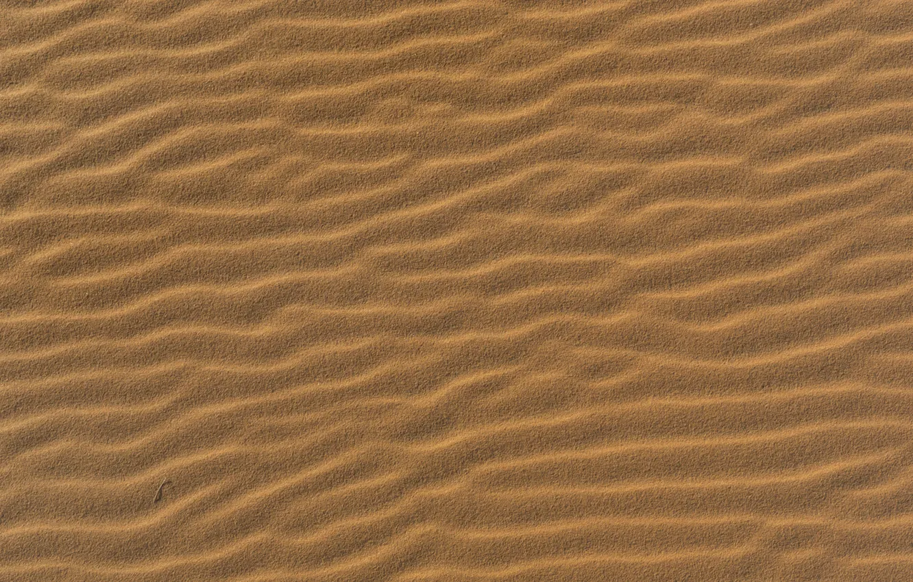 Photo wallpaper beach, desert, Sand, texture, grit