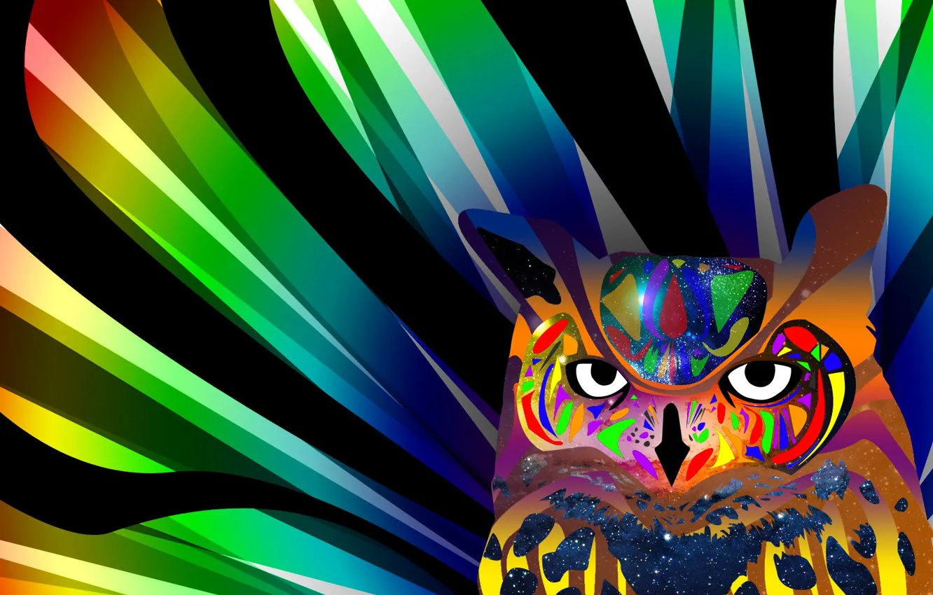 Photo wallpaper eyes, line, owl, bird, paint, color