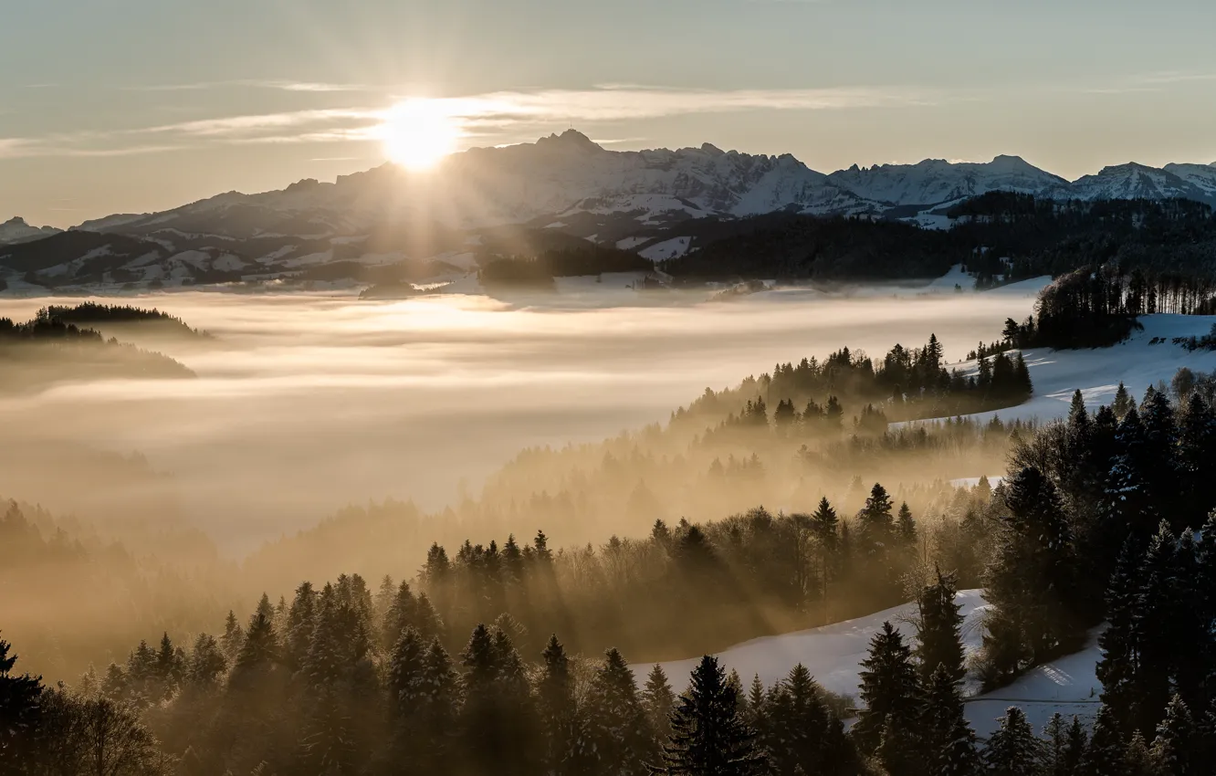 Photo wallpaper winter, light, mountains, nature, morning