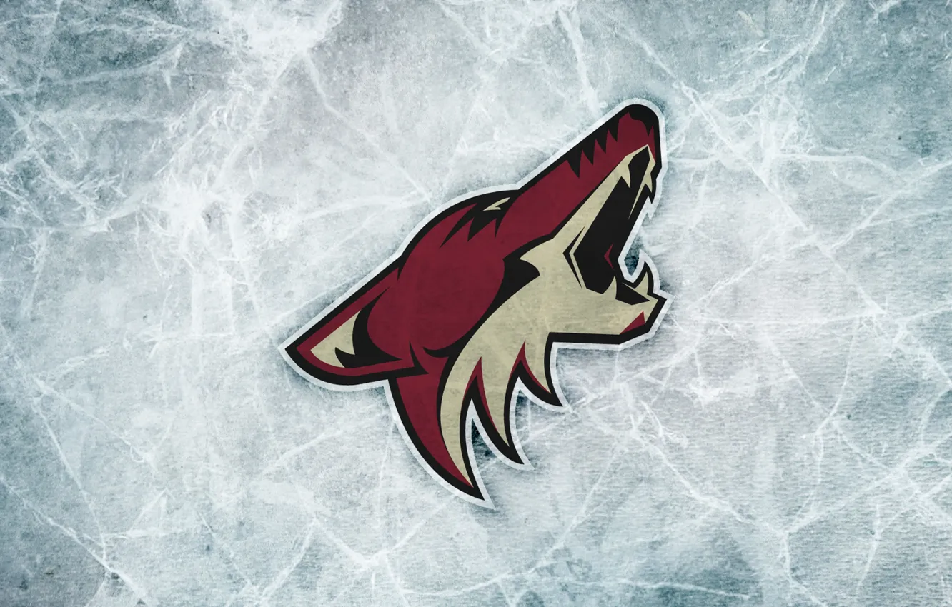 Photo wallpaper ice, sport, logo, NHL, hockey club, Arizona Coyotes, Arizona Coyotes, Arizona Coyotes