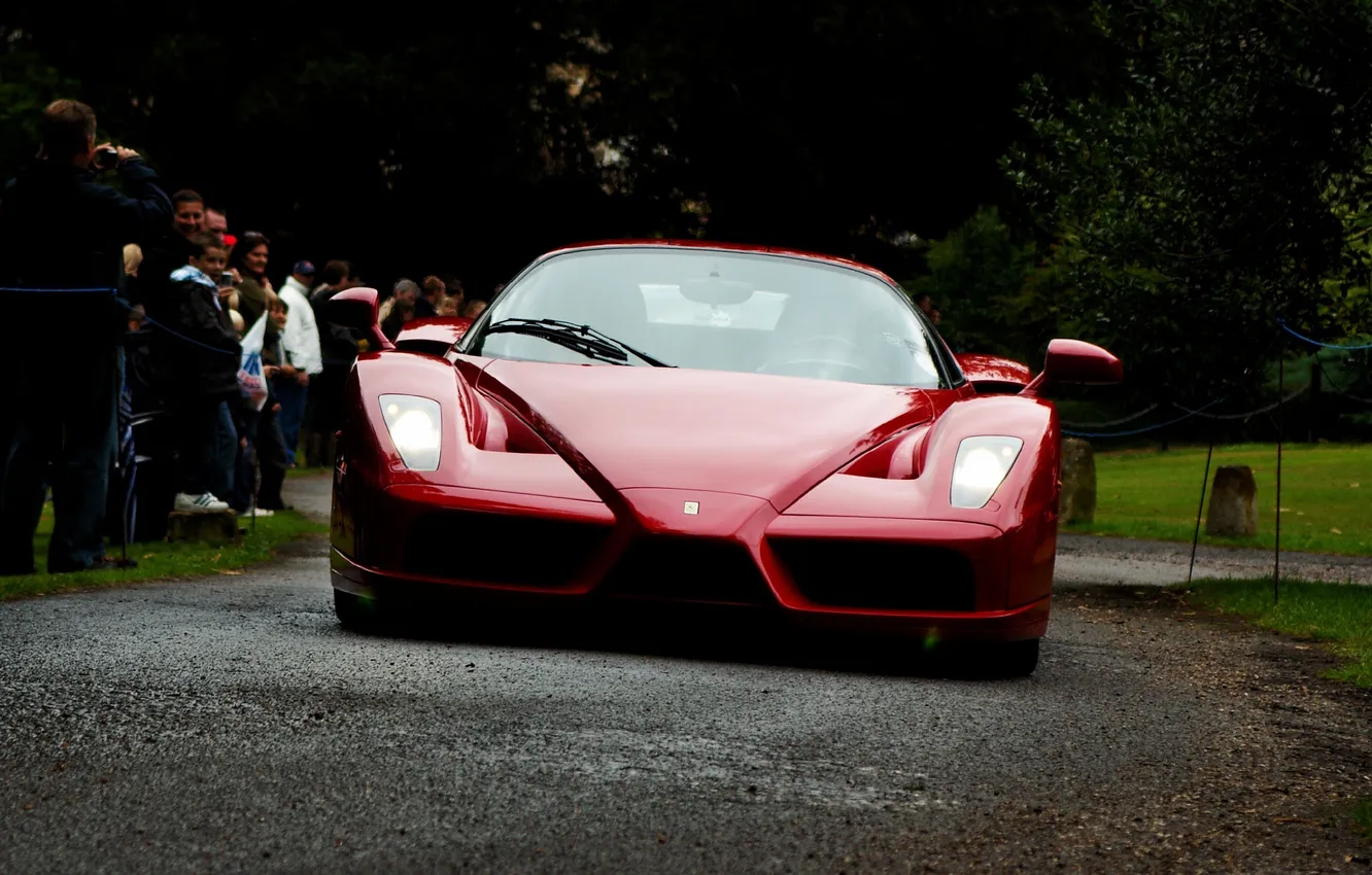 Photo wallpaper red, Ferrari Enzo, F50