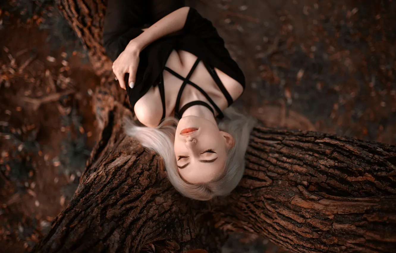 Photo wallpaper pose, tree, model, portrait, makeup, piercing, hairstyle, blonde