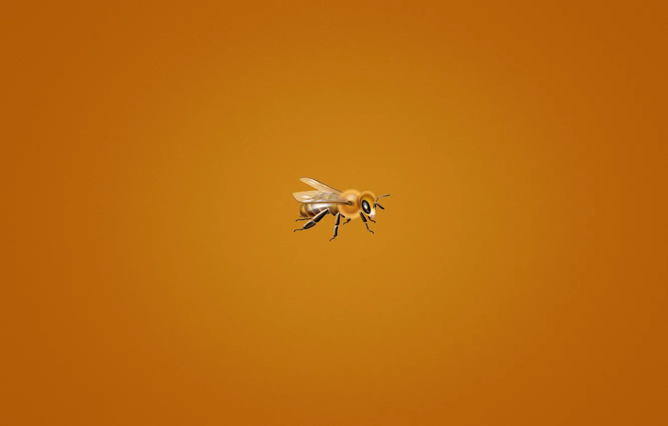 Photo wallpaper bee, minimalism, orange background, small, bee, bee