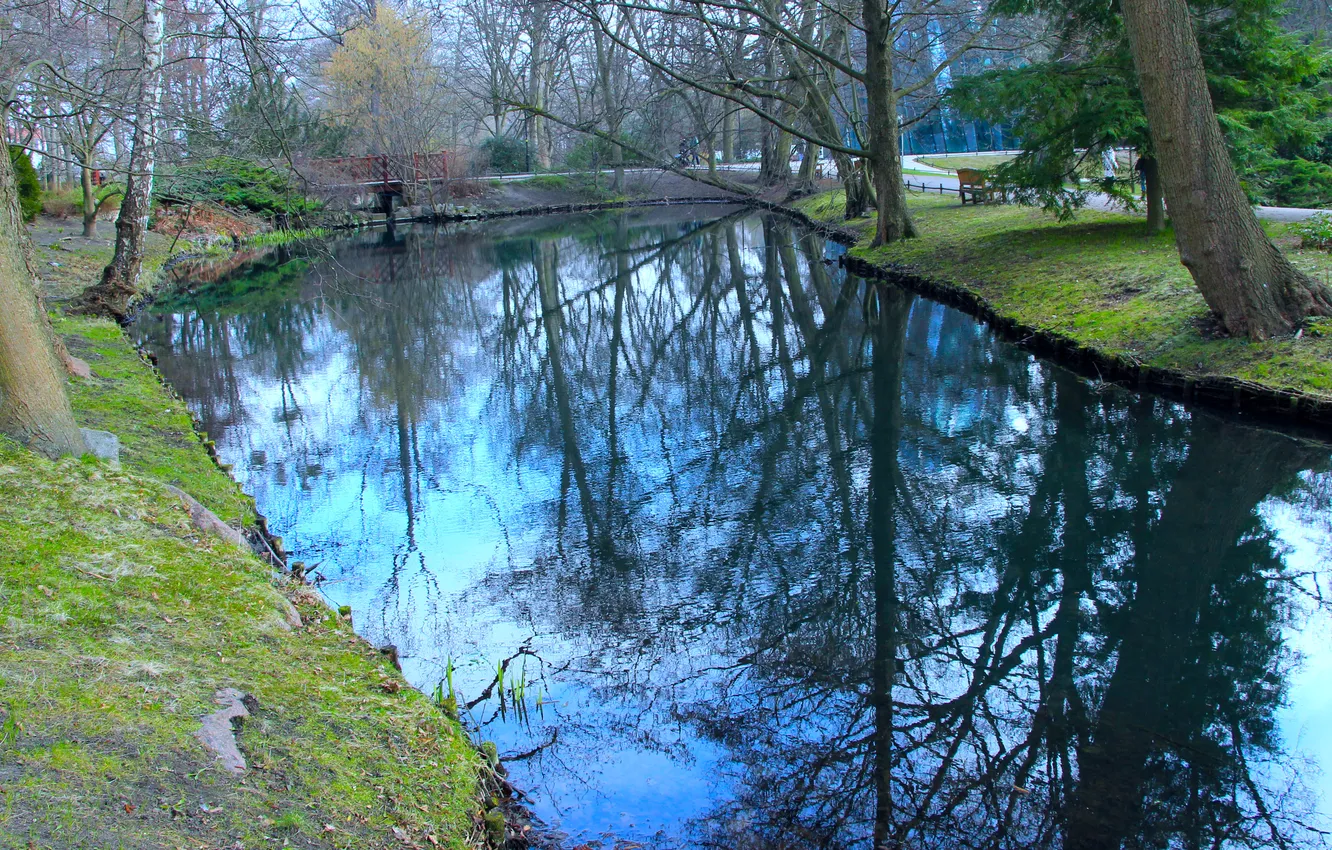 Photo wallpaper park, pond, waer