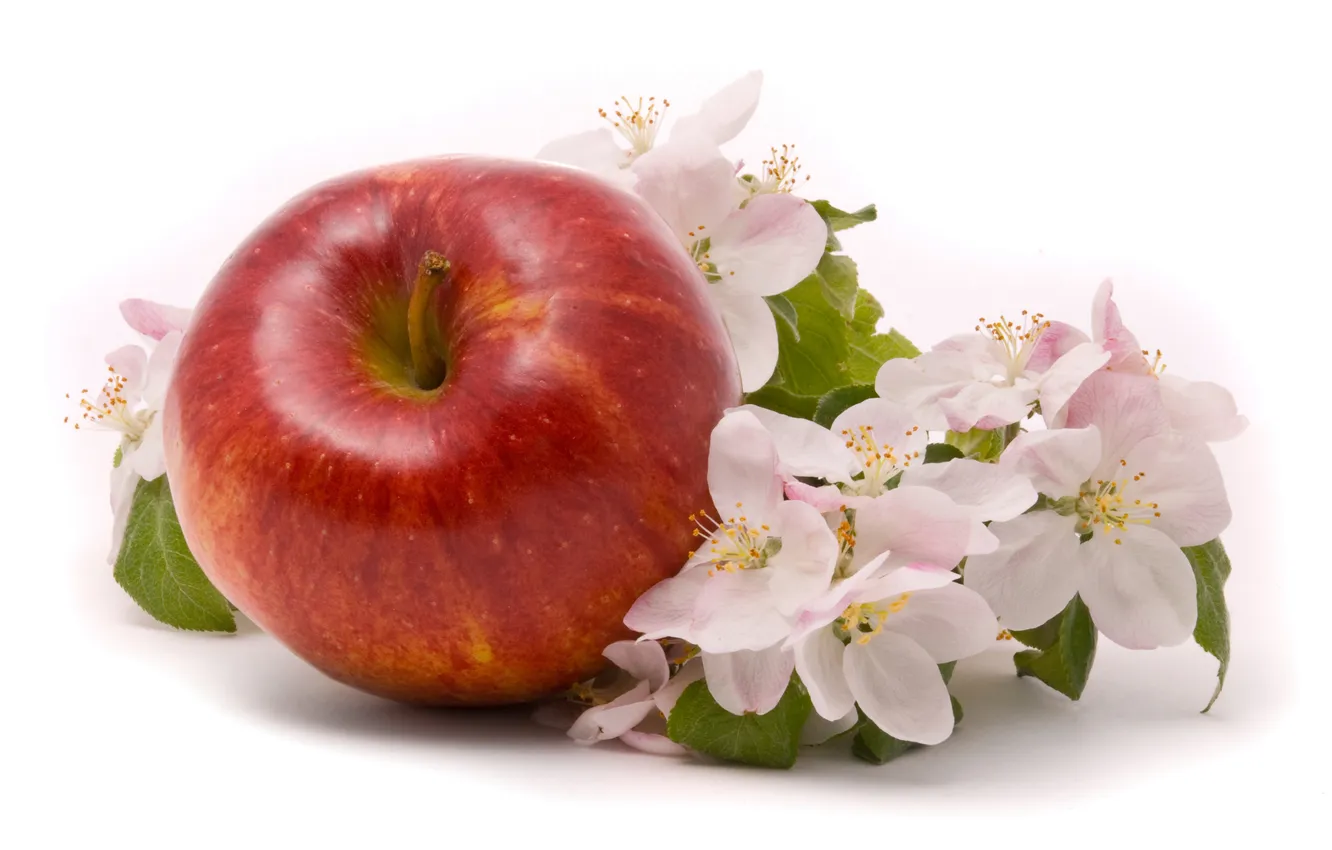 Photo wallpaper flowers, Apple, fruit