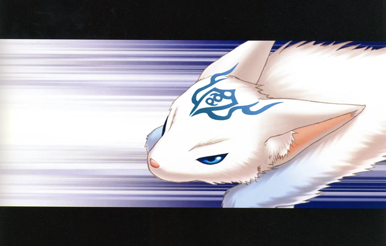 Photo wallpaper animal, print, Hiiro no Kakera, youkai, Crimson shards, by Yone Kazuki, magic power, Oo-chan