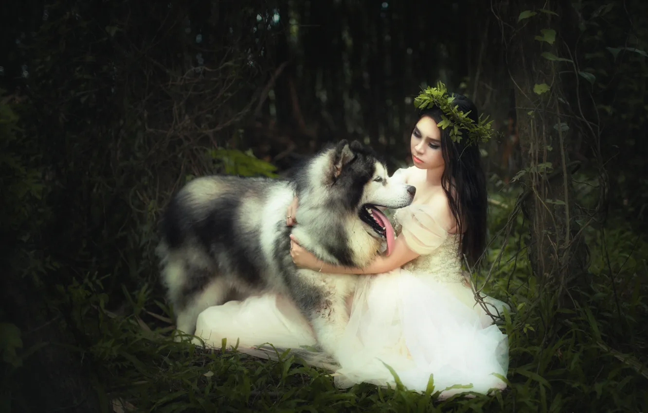 Photo wallpaper girl, background, dog