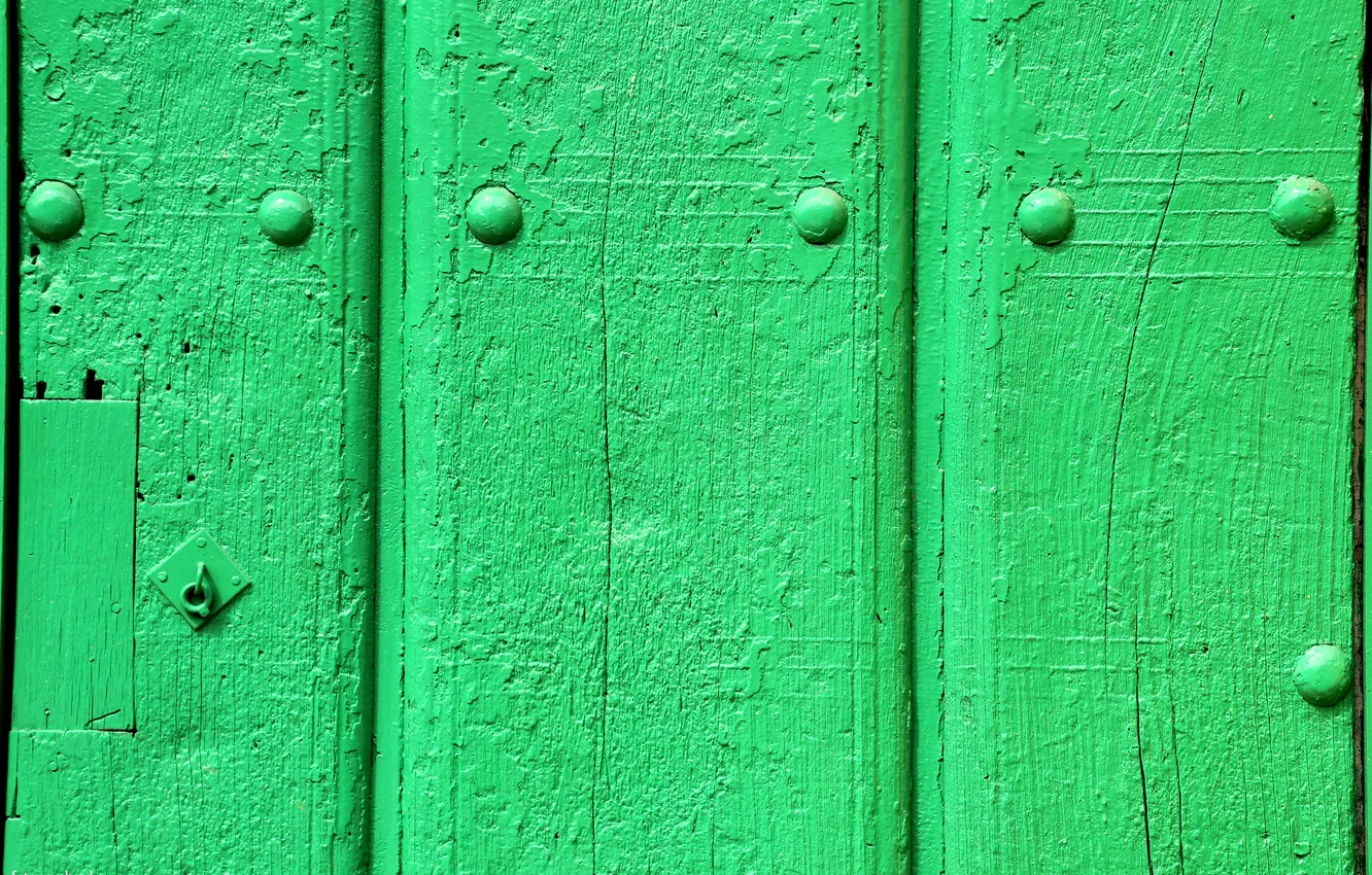 Photo wallpaper paint, Board, green