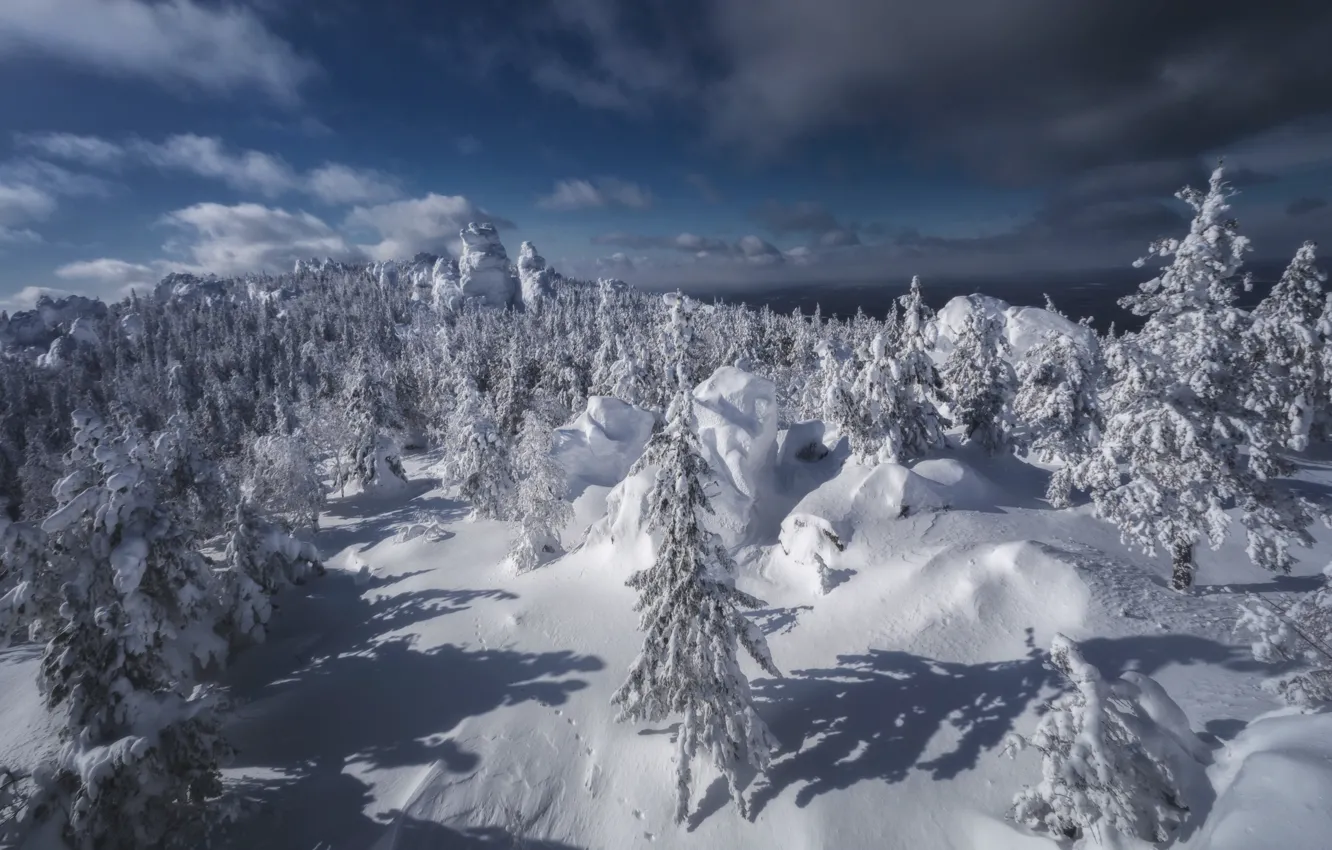 Photo wallpaper winter, snow, trees, landscape, nature, rock, stones, mountain