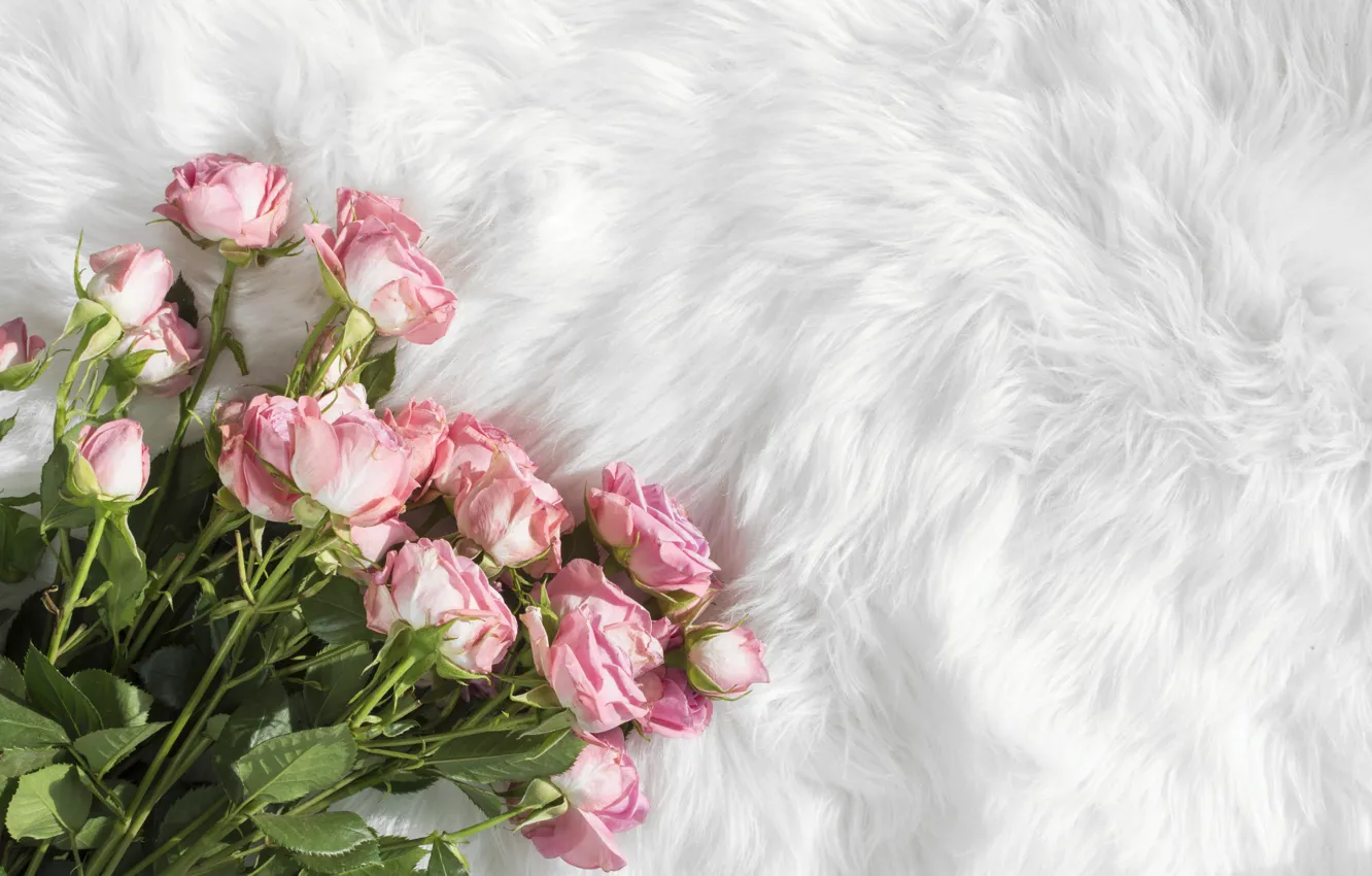 Photo wallpaper roses, bouquet, fur